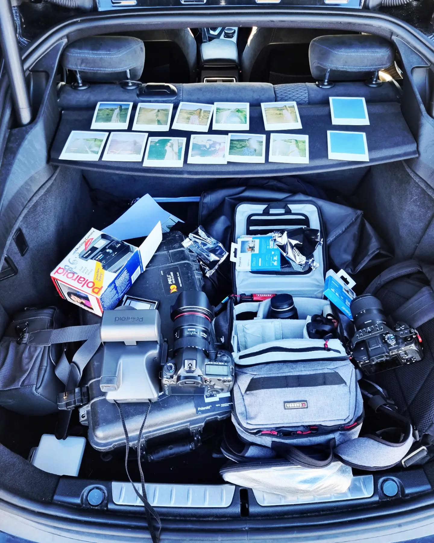 Gear